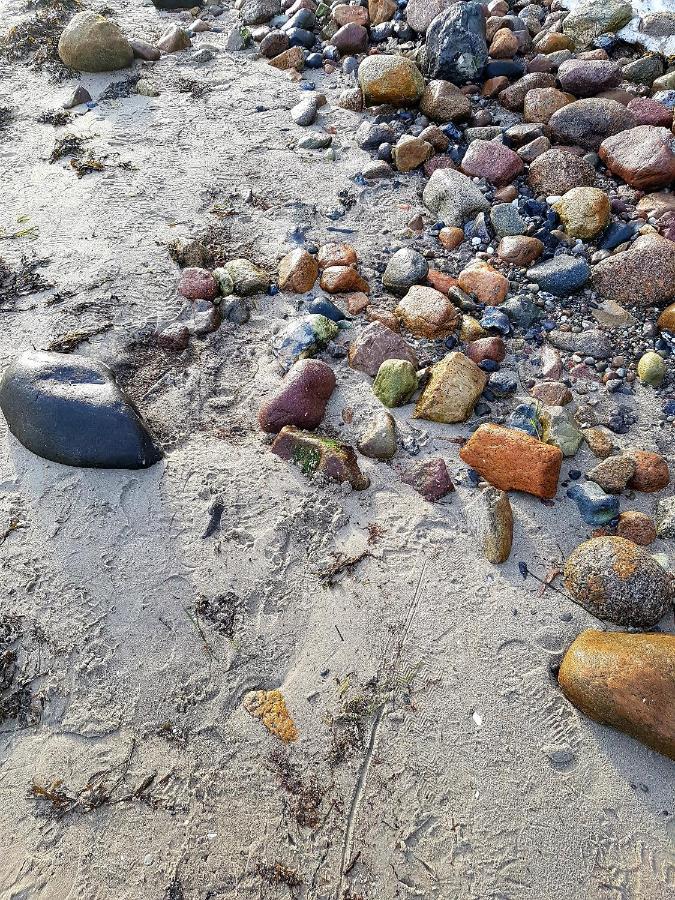 Strandappartement Steinberghaff "Farborg" Mit Meerblick Steinberg  Buitenkant foto