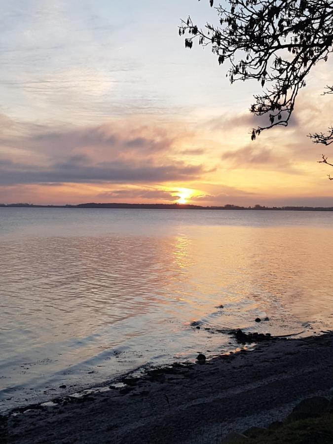 Strandappartement Steinberghaff "Farborg" Mit Meerblick Steinberg  Buitenkant foto