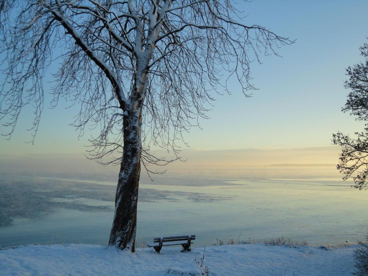 Strandappartement Steinberghaff "Farborg" Mit Meerblick Steinberg  Buitenkant foto