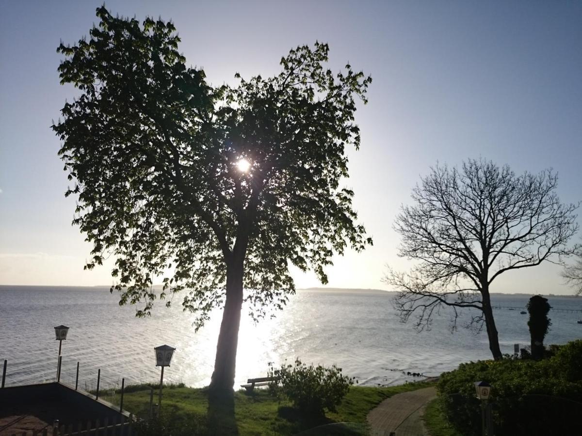Strandappartement Steinberghaff "Farborg" Mit Meerblick Steinberg  Buitenkant foto